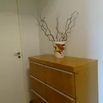 Koti Pyhaejaerven Rannalla, Mustavuori Tampereella דירה *